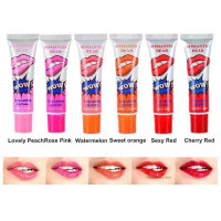 6-color waterproof and long-lasting lip gloss supplied in China