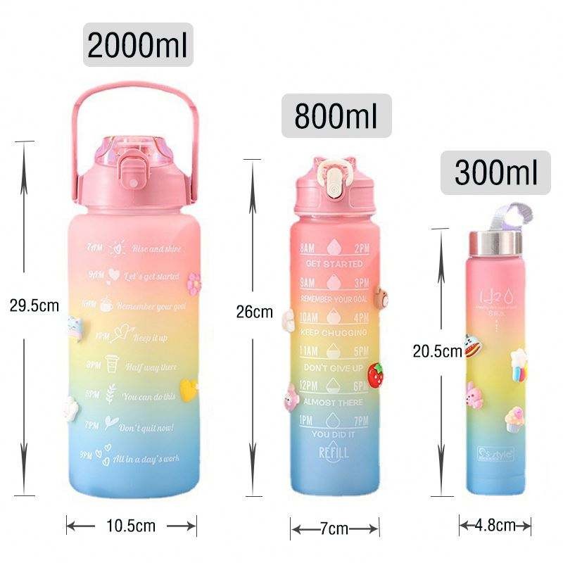 3 in 1 bottle set 3 in 1 direct drinking plastic sports BPA free gym fitness motivational water bott