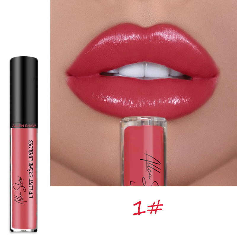 Popular Lipgloss With Private Logo Waterproof Glossy Lipgloss With High Quality